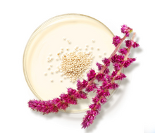 Cargar imagen en el visor de la galería, Cleansing Gel (Limpiador Facial) Tamaño de Viaje 1.0 FL oz | 30ml