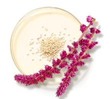 Cargar imagen en el visor de la galería, Exfoliating Cleanser (Renovación Energizante) Tamaño de Viaje 1.0 FL oz | 30ml