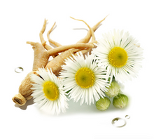 Load image into Gallery viewer, Pre-Treatment Toner (Balance & Brighten) Tamaño de Viaje