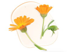 Cargar imagen en el visor de la galería, SOLAR DEFENSE TINTED (SPF 30 de Amplio Espectro) Tamaño de Viaje